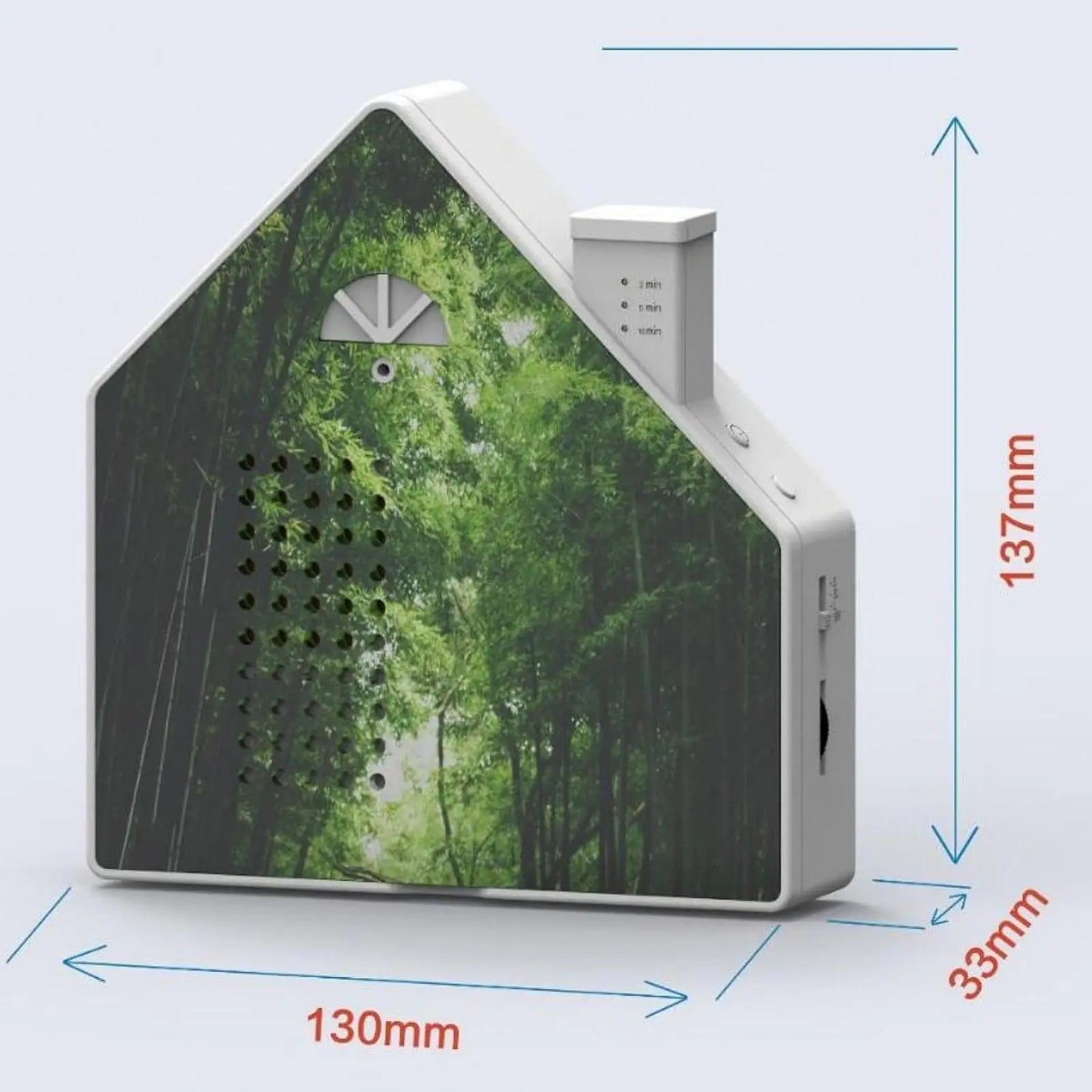 Bird Sounds Box — Nature Ambiance for Indoors & Garden