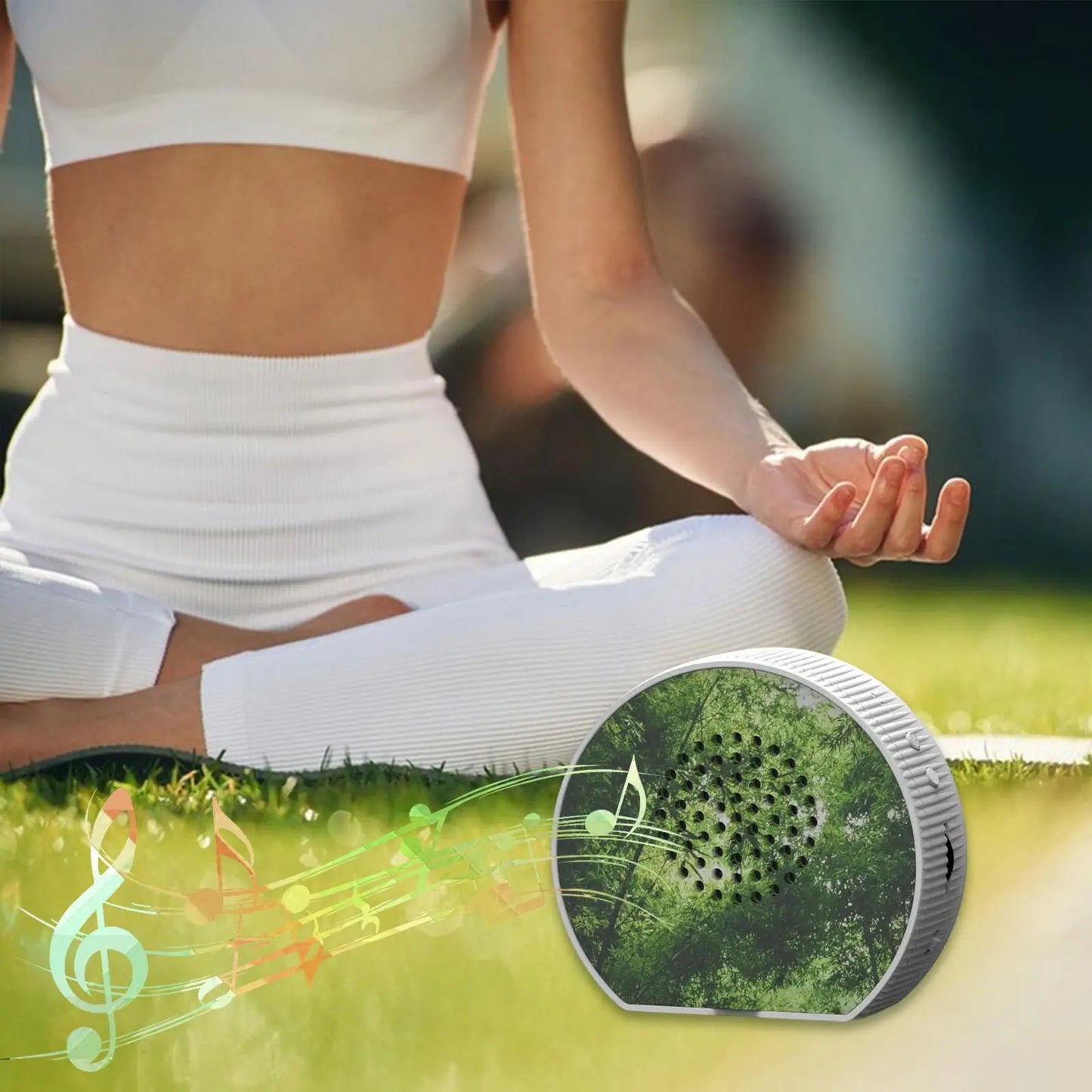 Bird Sounds Box — Nature Ambiance for Indoors & Garden