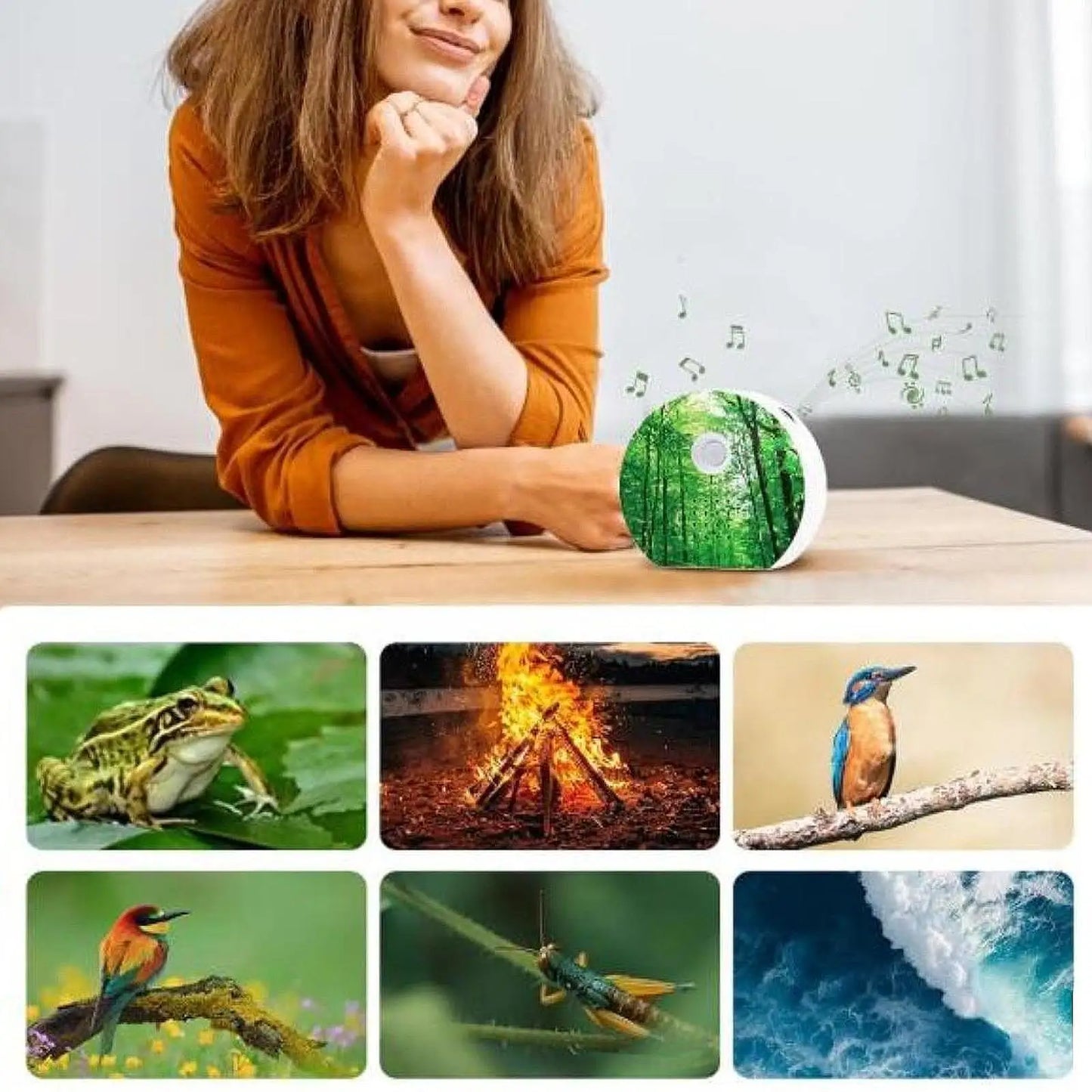 Bird Sounds Box — Nature Ambiance for Indoors & Garden
