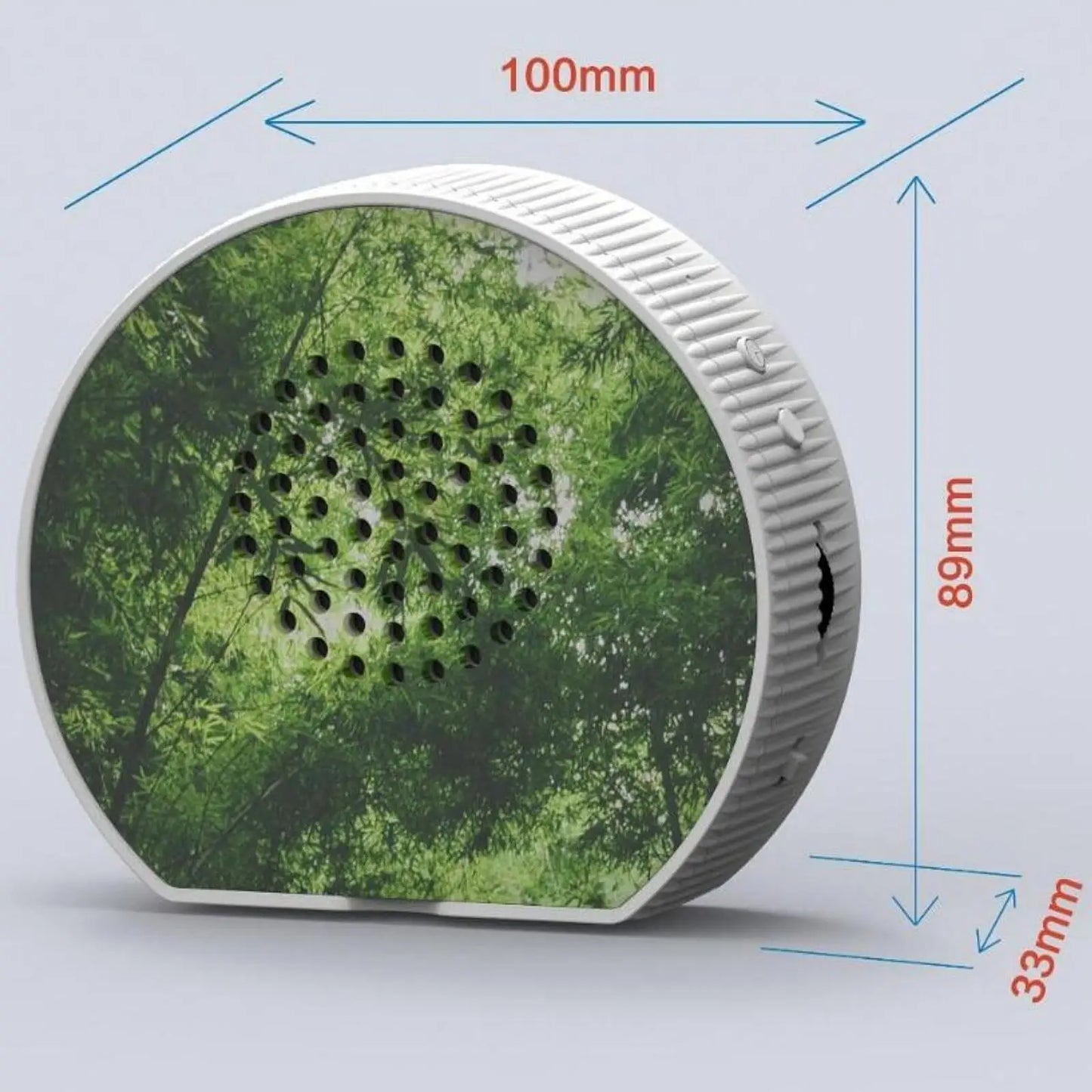 Bird Sounds Box — Nature Ambiance for Indoors & Garden